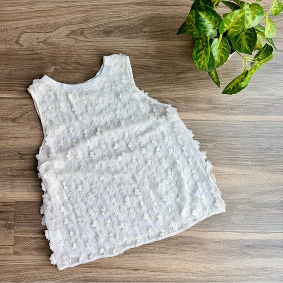 A New Day Sheer Cream Sleeveless 3D Floral Appliqué Top Blouse Size S - Picture 1 of 11